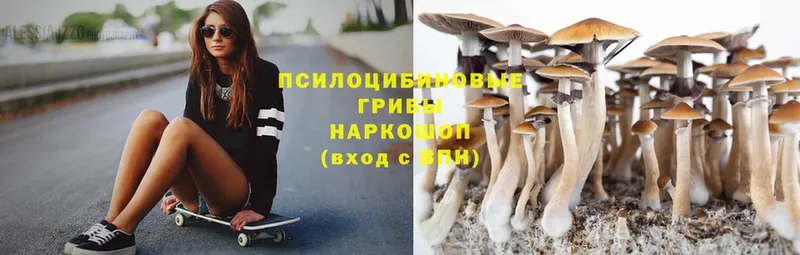 omg ссылка  Валуйки  Галлюциногенные грибы Magic Shrooms 